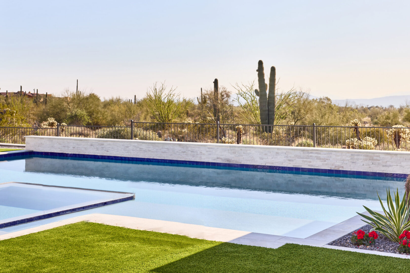 A pool with grass and a cactus in the background.